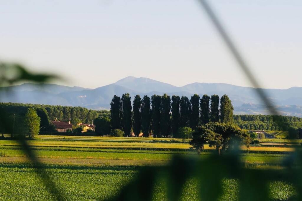 La Casa Nei Campi Villa Badia Pavese Luaran gambar