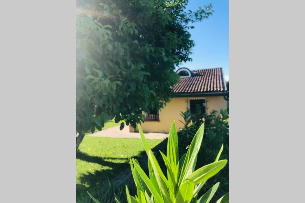 La Casa Nei Campi Villa Badia Pavese Luaran gambar
