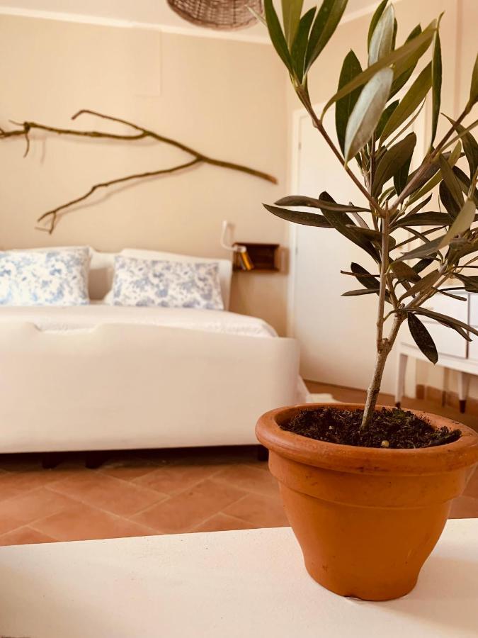 La Casa Nei Campi Villa Badia Pavese Luaran gambar