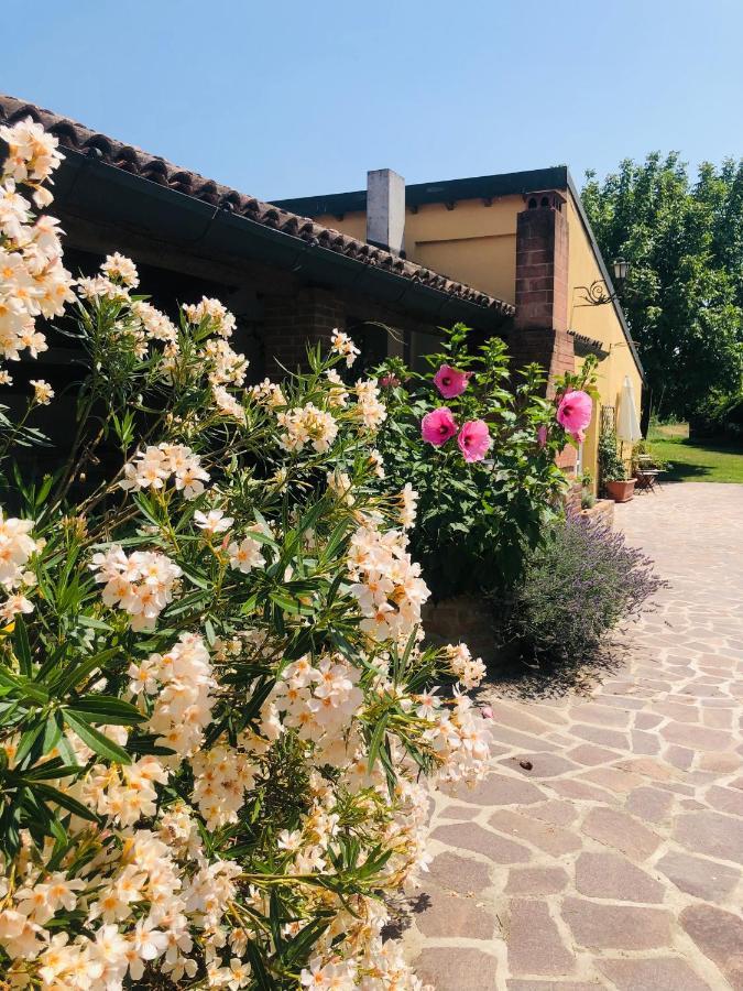 La Casa Nei Campi Villa Badia Pavese Luaran gambar